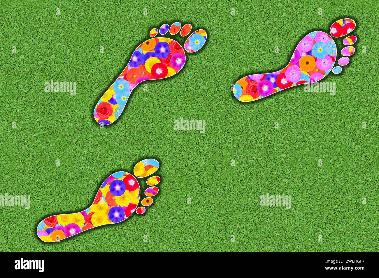 Footprints of a man depicted with colourful flowers on a green background, symbol Stock Photo