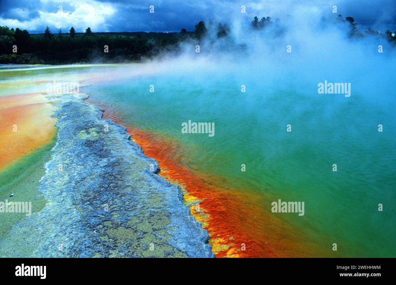 hot spring with steaming water, red algae in a green hot lake near Rotorua, sulphur deposit, North Island, New Zealand Stock Photo