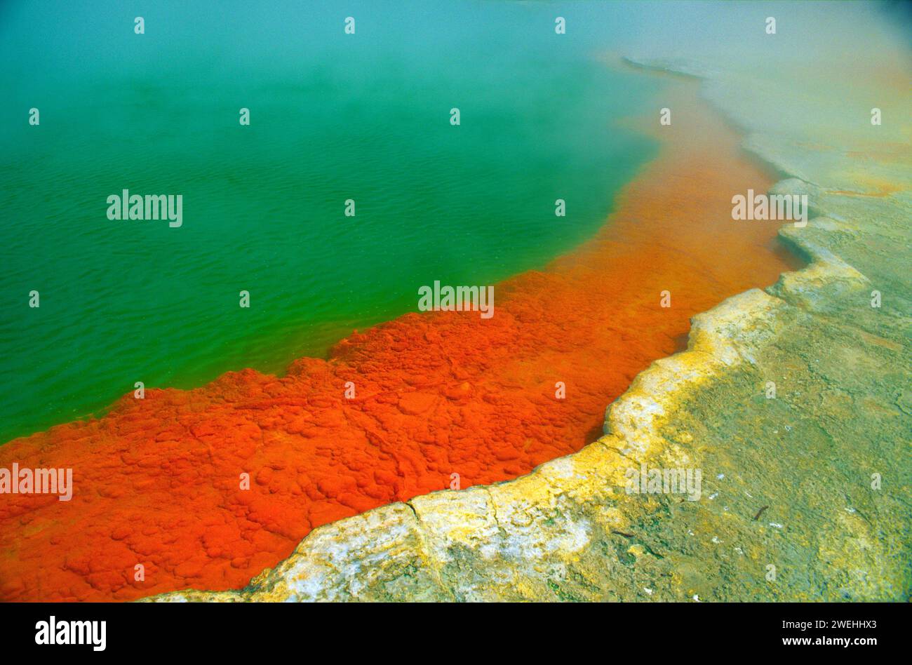 hot spring with steaming water, red algae in a green hot lake near Rotorua, sulphur deposit, North Island, New Zealand Stock Photo