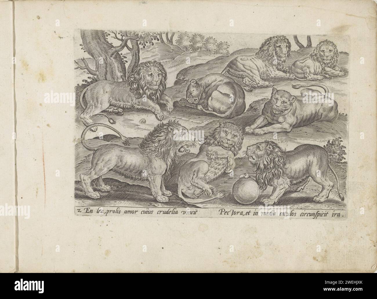 Lions and Lionesses, Anonymous, After Nicolaes de Bruyn, 1581 - 1600 ...
