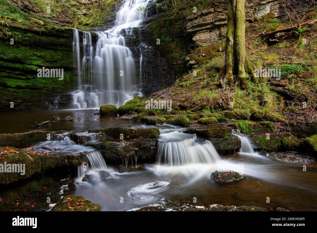 Scaleber Force. a waterfall in the North Yorkshire Dales close to Settle. Yorkshire Dales National Park, Yorkshire, England, United Kingdom Stock Photo