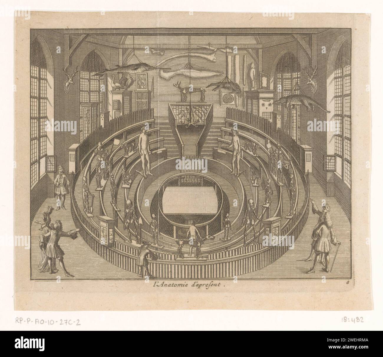 The Theatrum Anatomicum in Leiden seen from the inside, Anonymous, 1712
