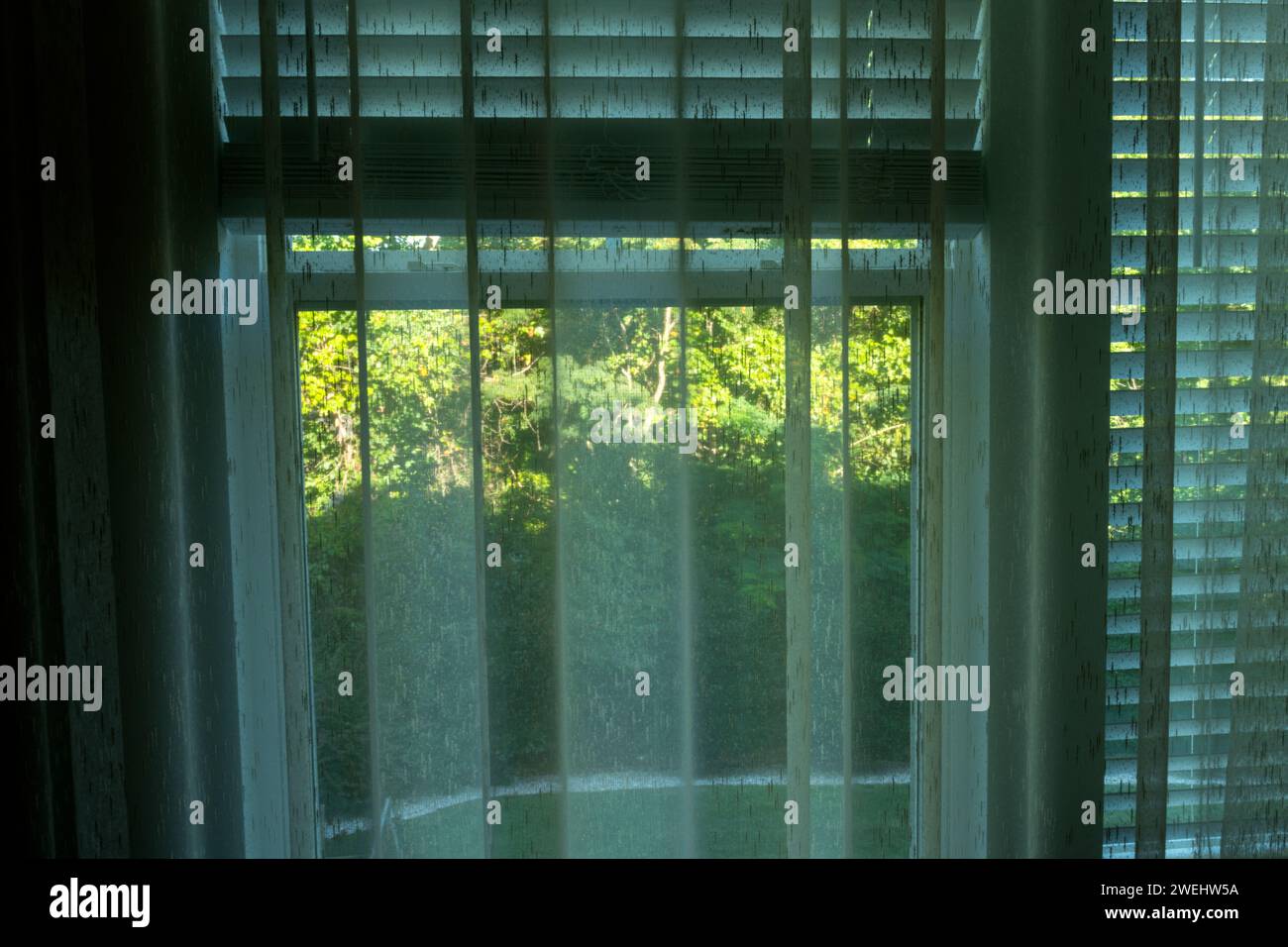 Looking outside through curtains and window blinds. Element of design. Stock Photo