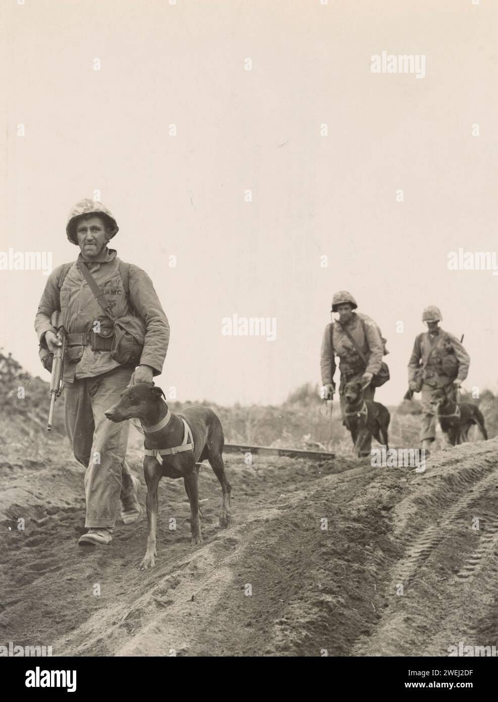 Members of a K-9 Unit move forward during the Battle of Iwo Jima 1945 Stock Photo