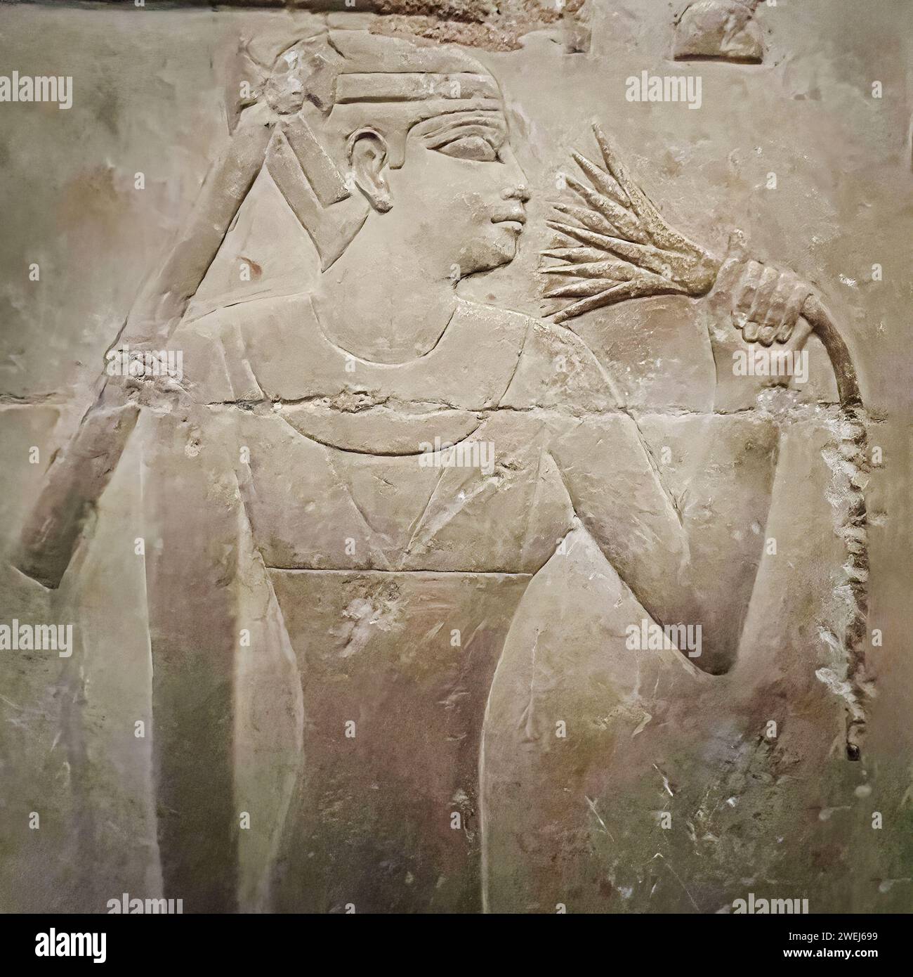 Relief from a tomb in Saqqara, part of the Memphite Necropolis, a UNESCO World Heritage Site, Egypt. Stock Photo