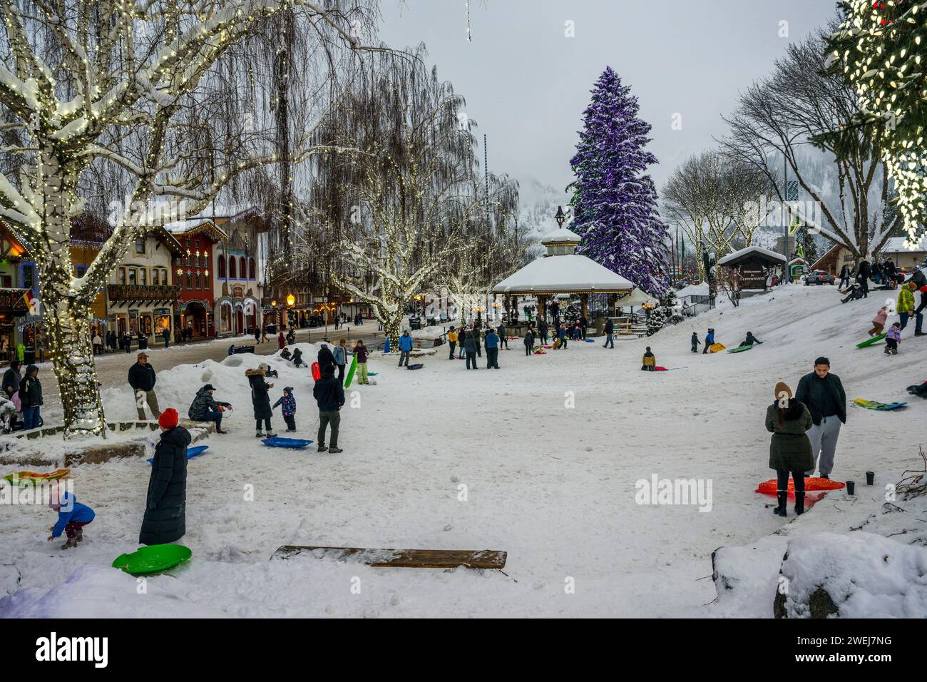 People enjoying the sledding hill in winter in downtown Leavenworth, Chelan County, Eastern