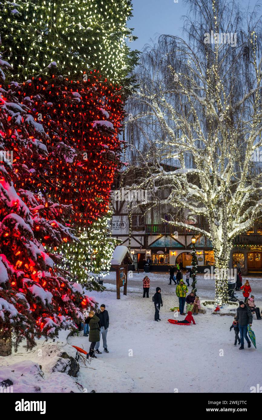 People enjoying the sledding hill in winter in downtown Leavenworth, Chelan County, Eastern