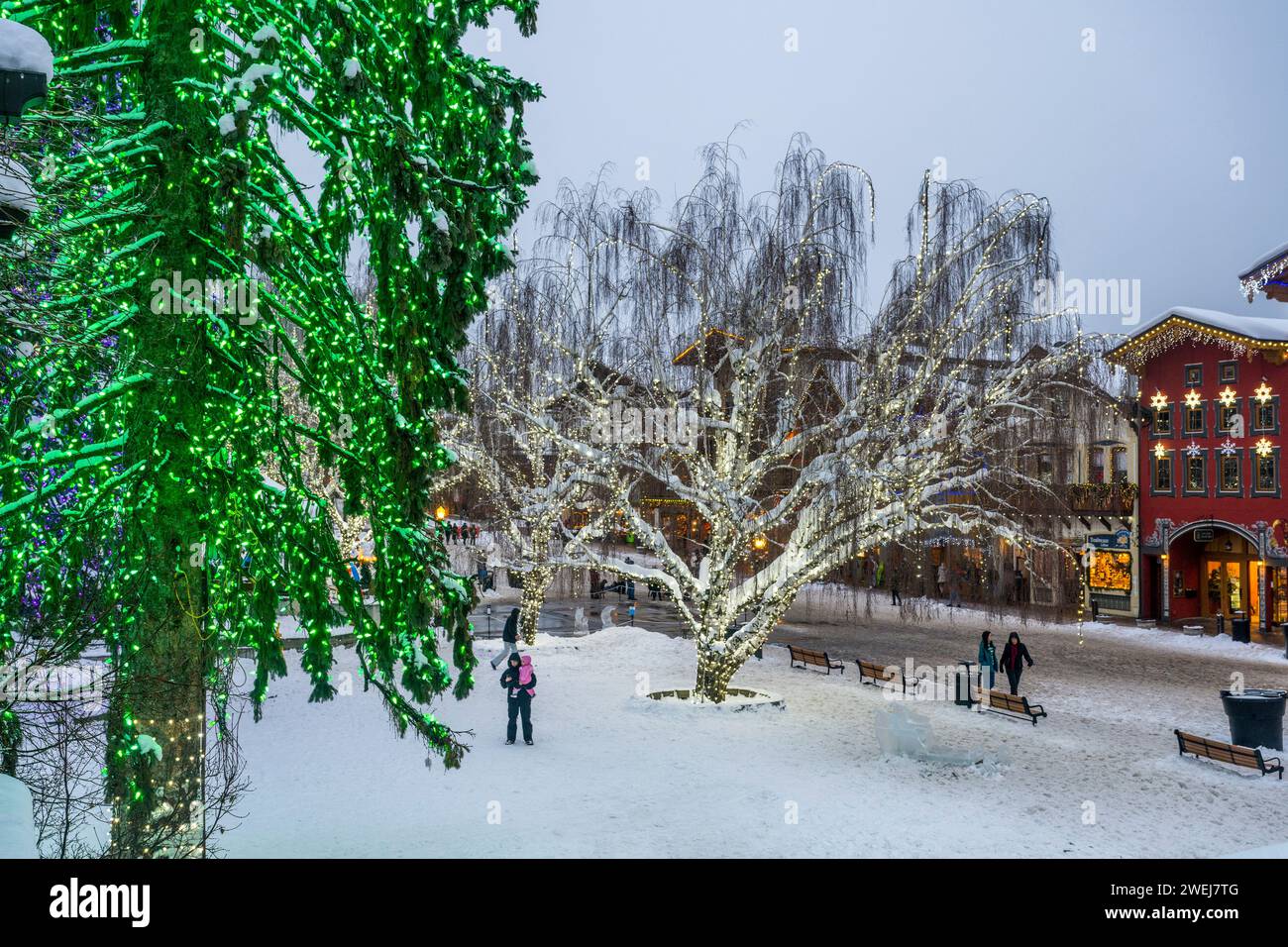 People enjoying the sledding hill in winter in downtown Leavenworth, Chelan County, Eastern