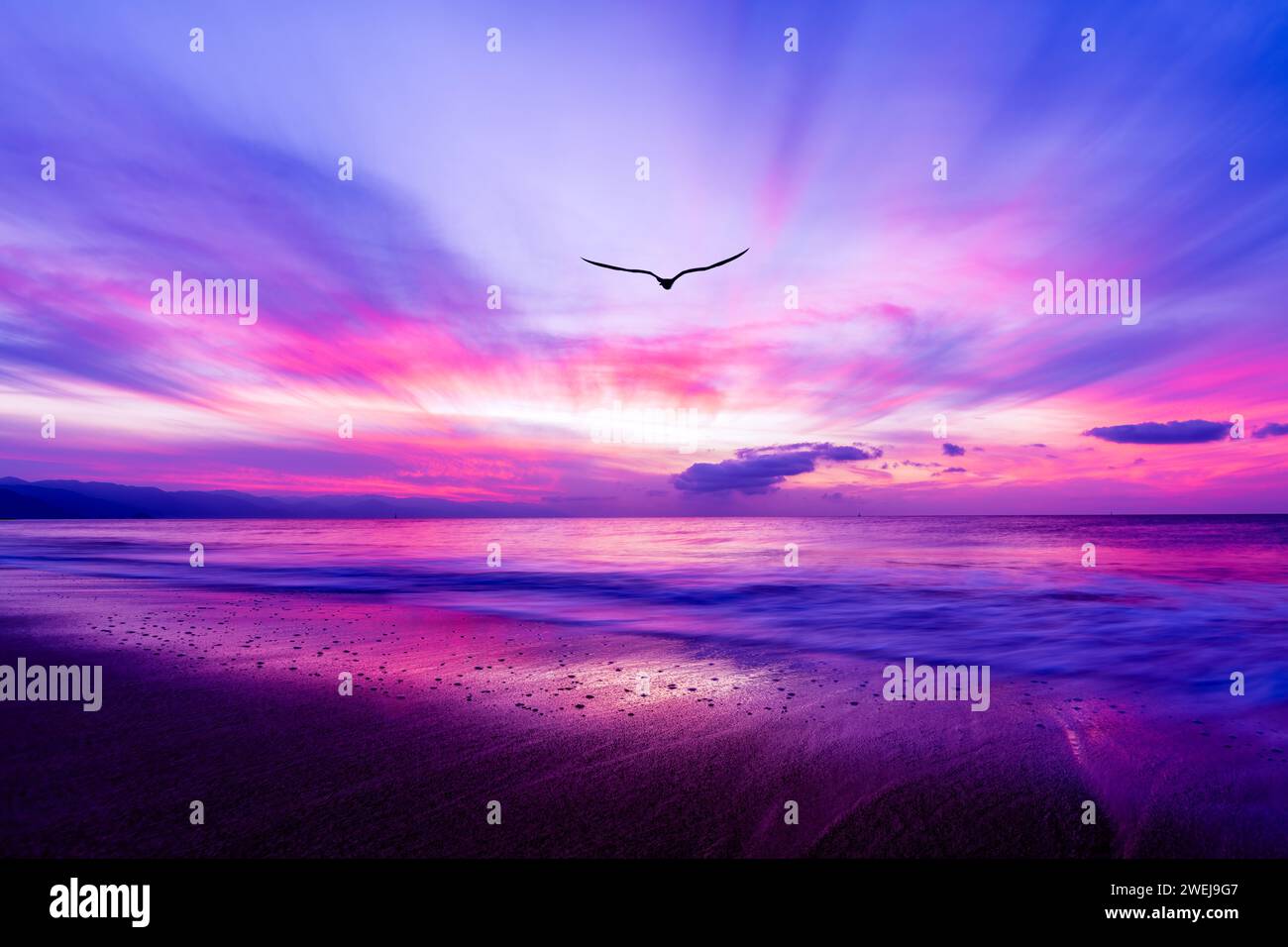 A Bird Is Soaring Above The Colorful Clouds At Sunset With Sun Ray
