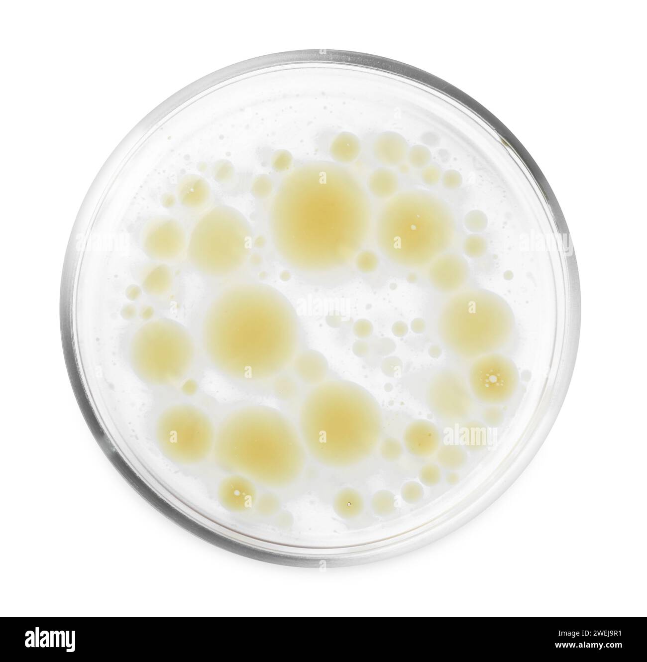 Petri dish with color liquid sample isolated on white, top view Stock ...