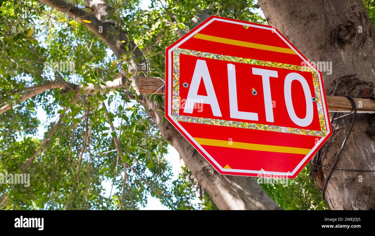 Stop sign in a tree, Merida , Mexico Stock Photo - Alamy