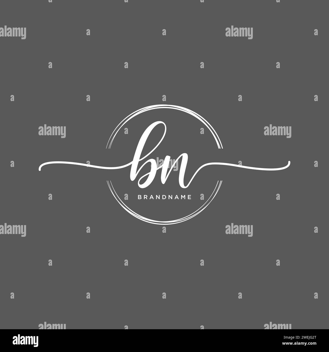 BN Initial handwriting logo with circle Stock Vector