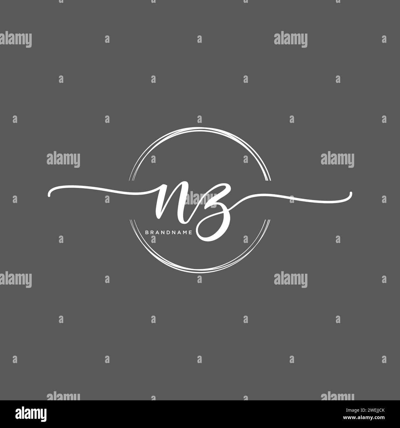 NZ Initial handwriting logo with circle Stock Vector