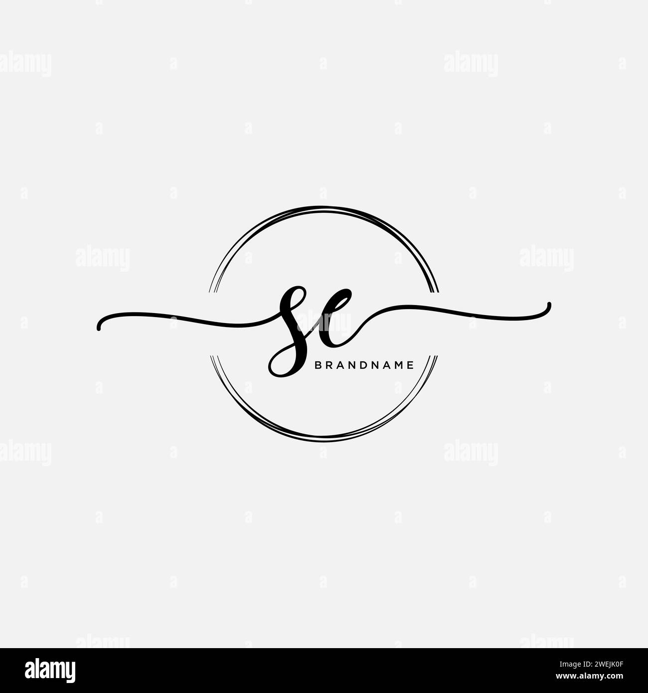SE Initial handwriting logo with circle Stock Vector