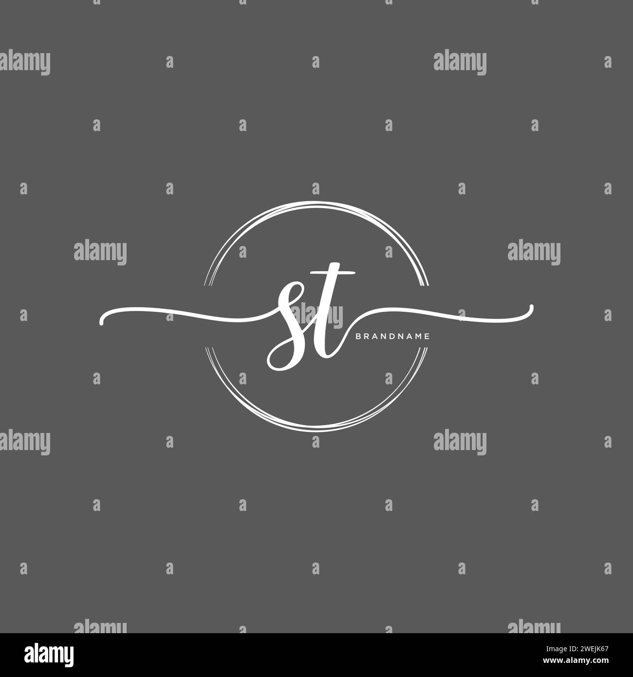 ST Initial handwriting logo with circle Stock Vector