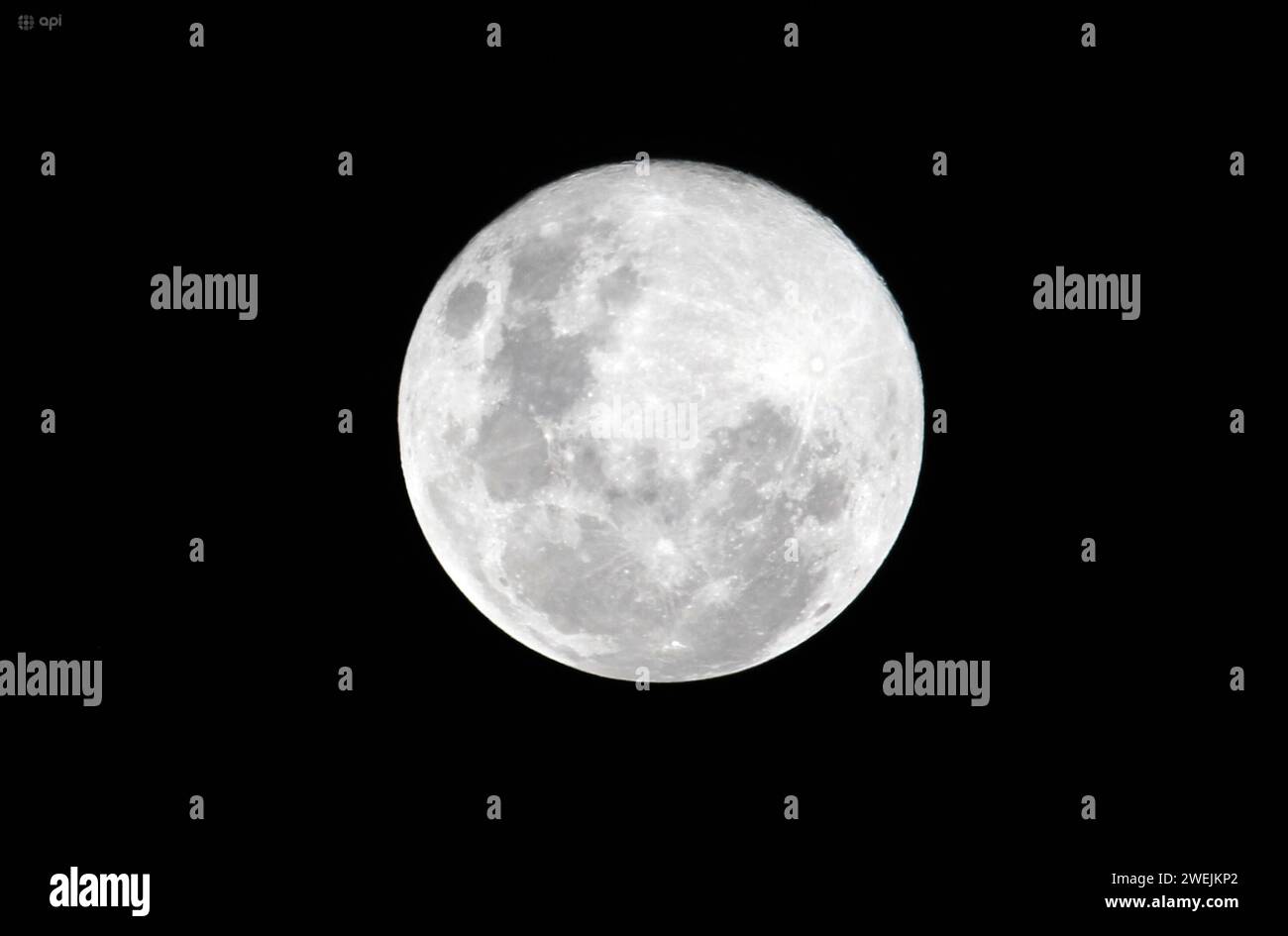 CUENCA-LUNA LLENA-LOBO Cuenca,Ecuador 25 de enro de 2024 La primera luna llena del nuevo ano, conocida como Luna del Lobo, brillo la noche de hoy en el cielo nocturno de Cuenca. Luna llena del Lobo: este jueves 25 de enero se podo apreciarse en Ecuador el primer plenilunio del ano, tambiÃ n llamado la Luna del Lobo, se observa a finales de enero y despierta curiosidad sobre el origen de su nombre. foto Boris Romoleroux/API. SOI-CUENCA-LUNALLENA-LOBO-7ceed3696aa73d1430cda6f3fca01780 *** CUENCA LUNA LLENA LOBO Cuenca, Ecuador January 25, 2024 The first full moon of the new year, known as the Wol Stock Photo