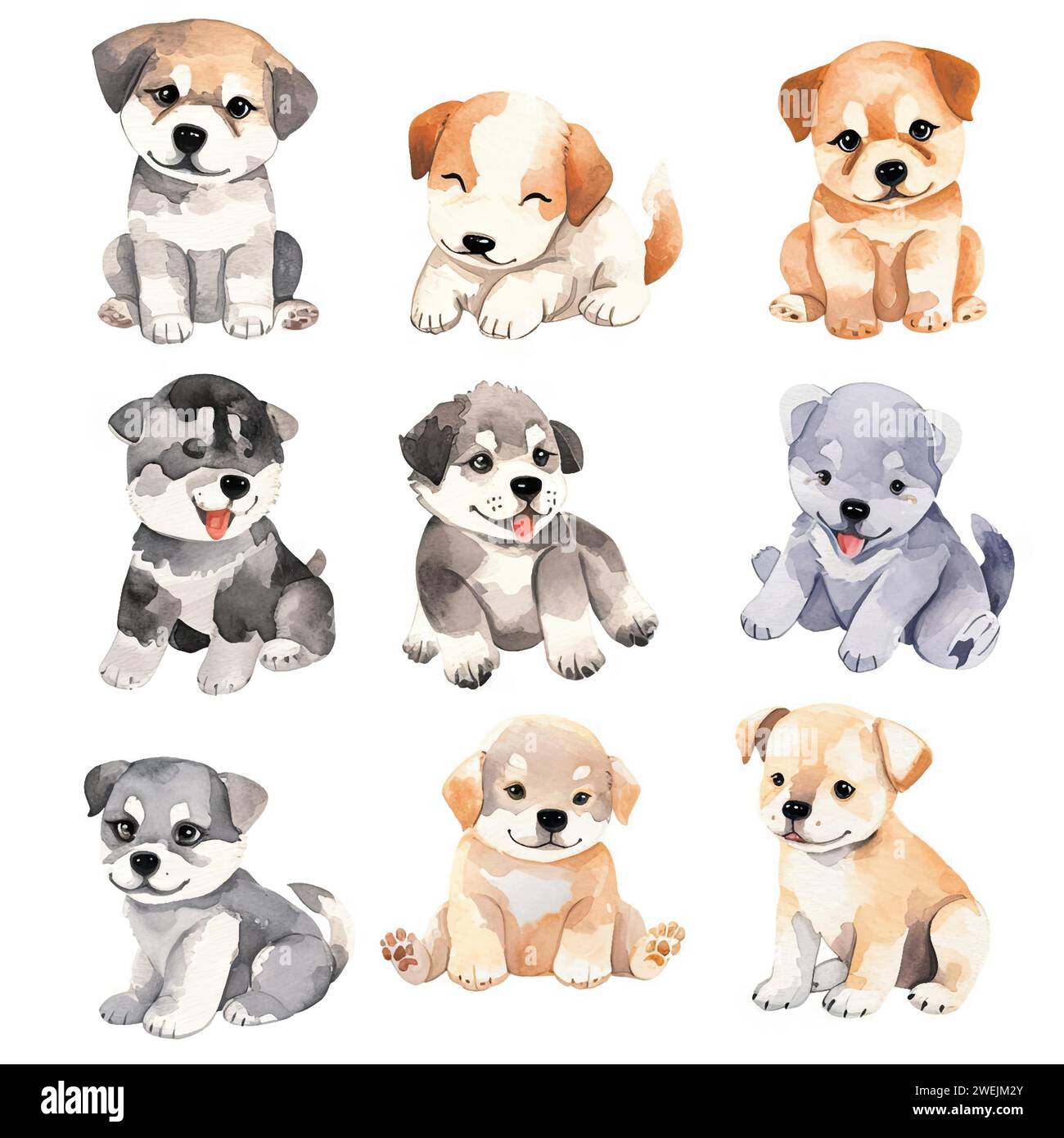 Vector hand drawn puppy collection Stock Vector Image & Art - Alamy