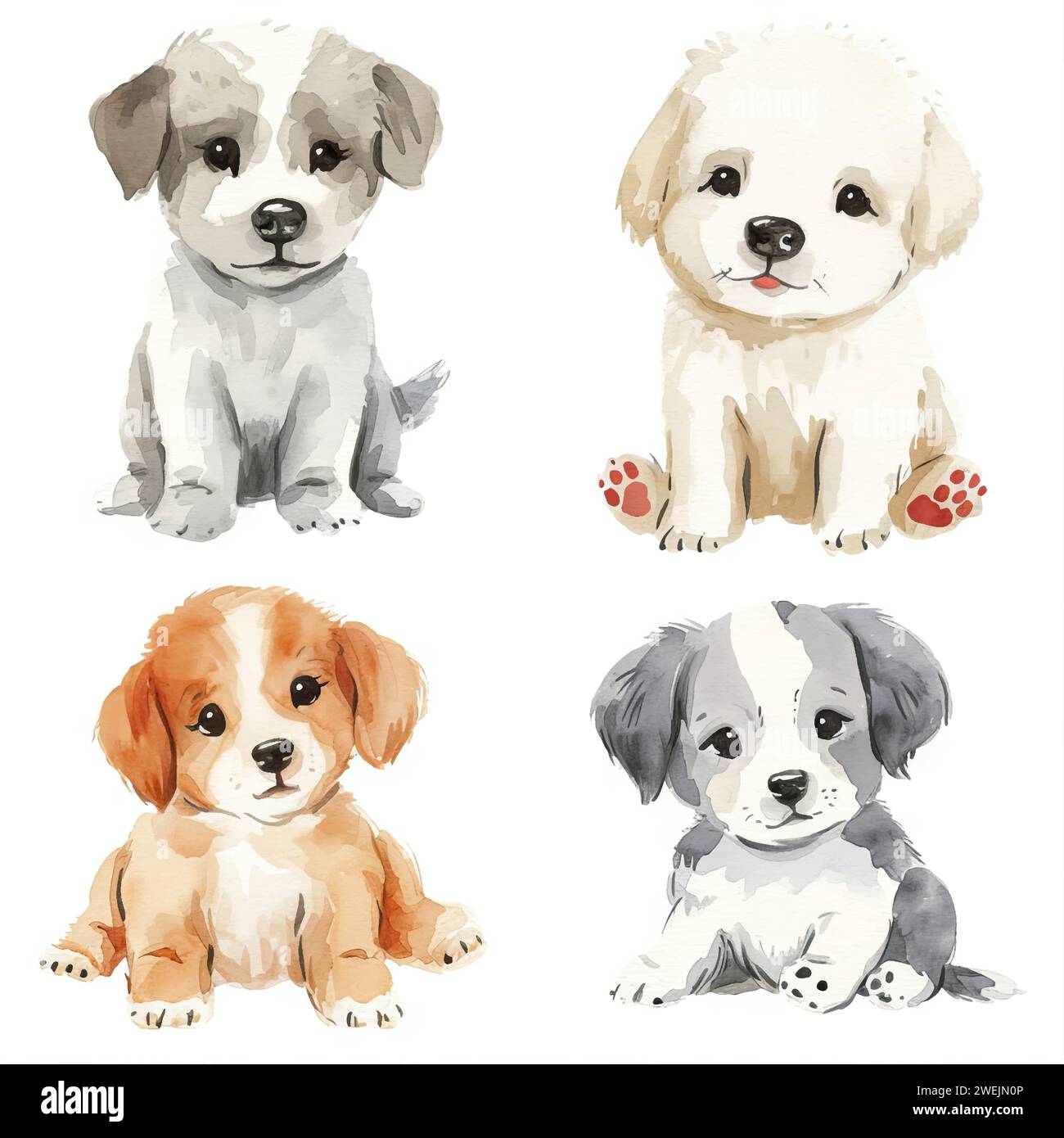Vector hand drawn puppy collection Stock Vector Image & Art - Alamy
