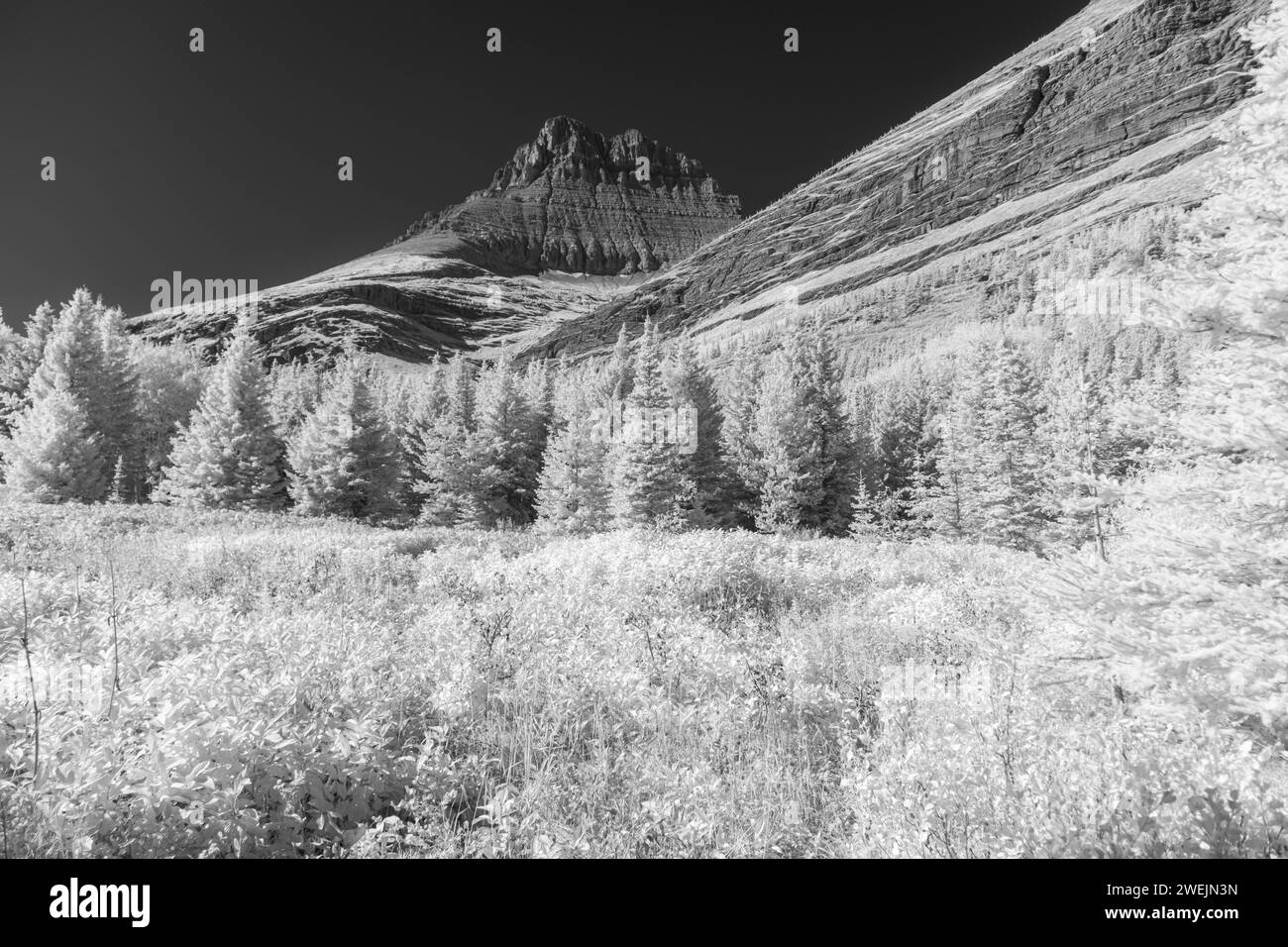 Monochromatic image of Glacier National Park in Infra Red with a fully