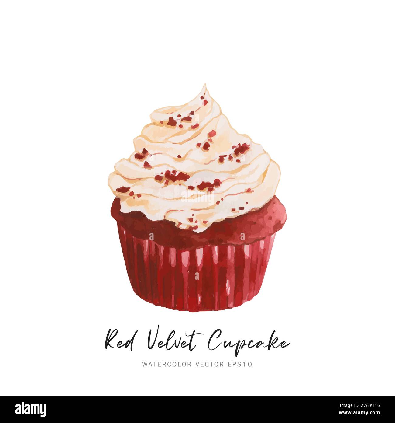 Red velvet cupcake dessert, watercolor food painting vector design isolated on white background Stock Vector