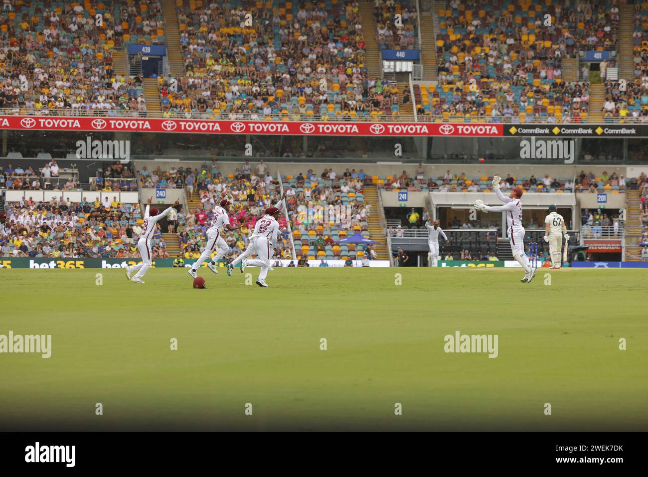 Brisbane, Australia. 26th Jan 2024. Travis Head (62 Australia) is bowled out for a duck by Kemar Roach and caught by Joshua Da Silva during the NRMA Insurance Test Match between Australia and West Indies at the Gabba. Credit: Matthew Starling / Alamy Live News Stock Photo