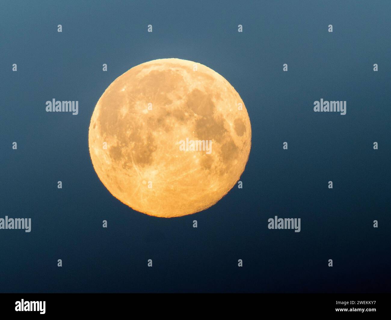 Wolf moon 2024 hires stock photography and images Alamy
