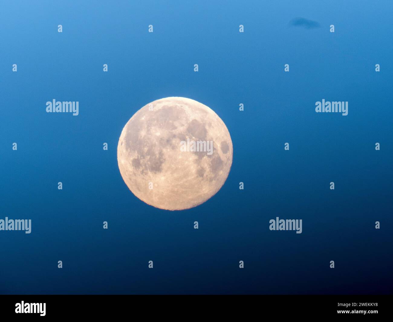 Wolf moon 2024 hires stock photography and images Alamy