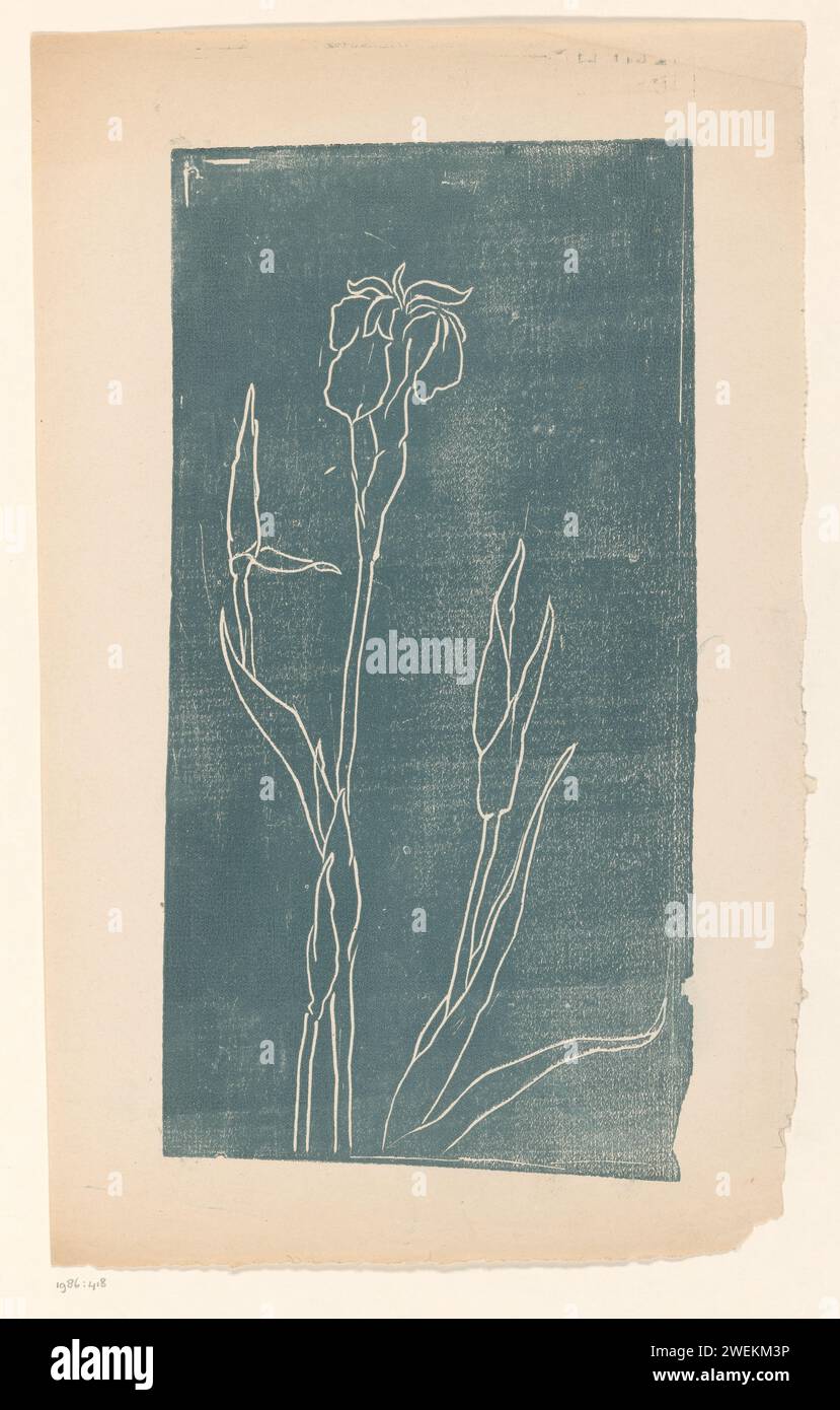 Iris, Reinier Willem Petrus de Vries (1874-1953), 1884 - 1952 print   paper  flowers Stock Photo