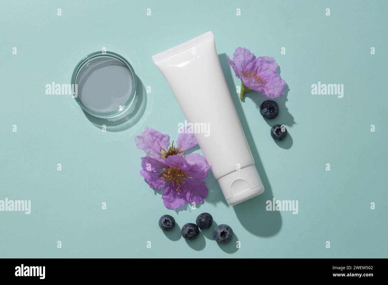 Minimal backdrop for cosmetic branding presentation - white plastic tube unlabeled container cleanser or cream, blueberries and purple flowers decorat Stock Photo