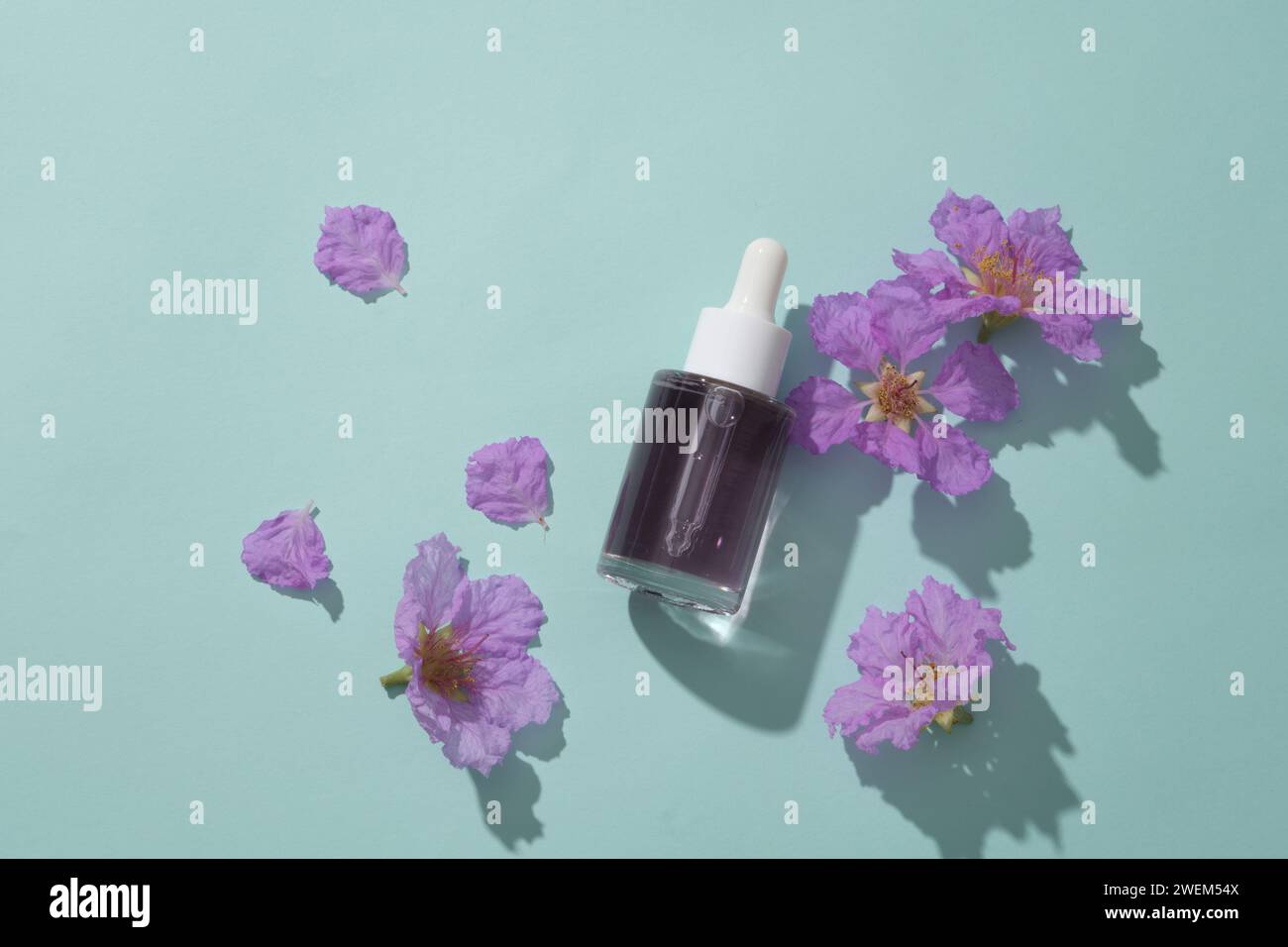 Glass bottle unlabeled with dropper cap, containing liquid and purple flowers decorated on a blue background. Mockup for cosmetic, serum of blueberry Stock Photo