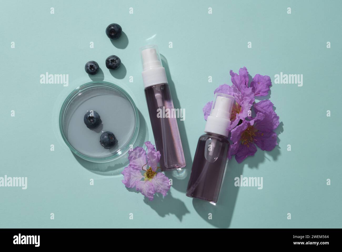 Promotional scene for cosmetic - an unlabeled bottle, essence in a petri dish and purple flower on a blue background. Blueberry extract have anti-agin Stock Photo