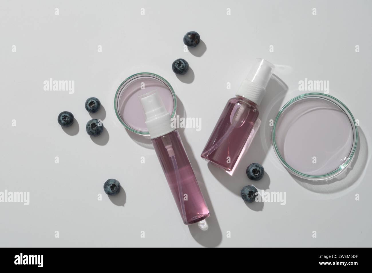 Two spray bottles unlabeled filled purple liquid, blueberries and petri
