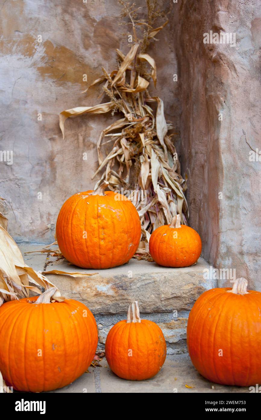 Pumpkin Decorations on stairs Stock Photo