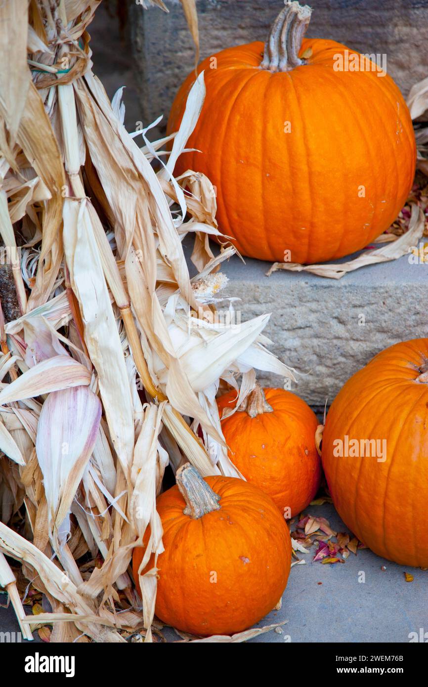 Pumpkin Decorations on stairs Stock Photo