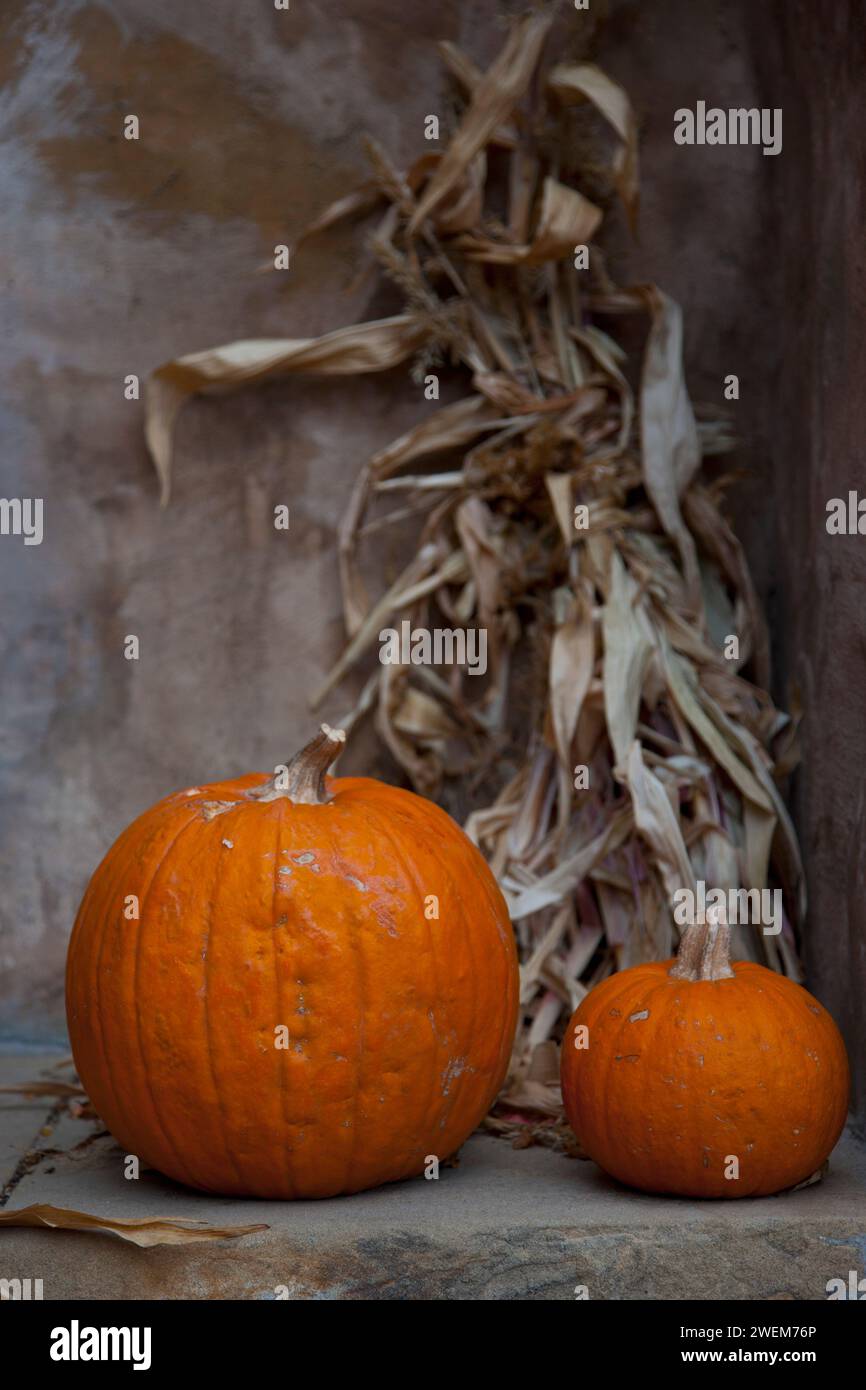 Pumpkin Decorations on stairs Stock Photo