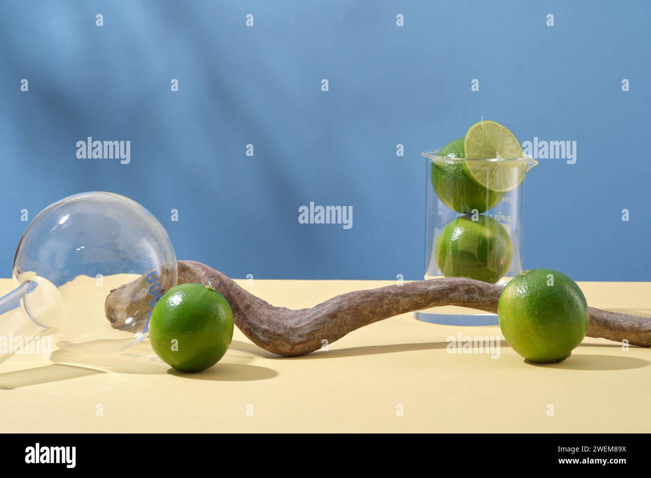 Minimal concept for display product with fresh limes, lab glassware and dried twig on blue background. Lime extract contains a lot of vitamin C and nu Stock Photo