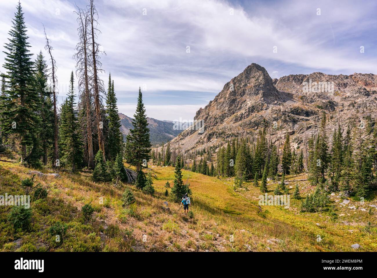 Hiking up a steep slope in the Mount Zirkel Wilderness, Colorado Stock ...