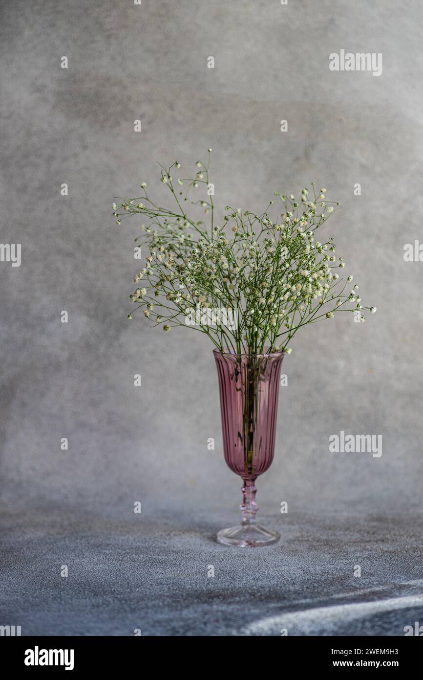 Pink glass vase with white gypsophila flowers Stock Photo