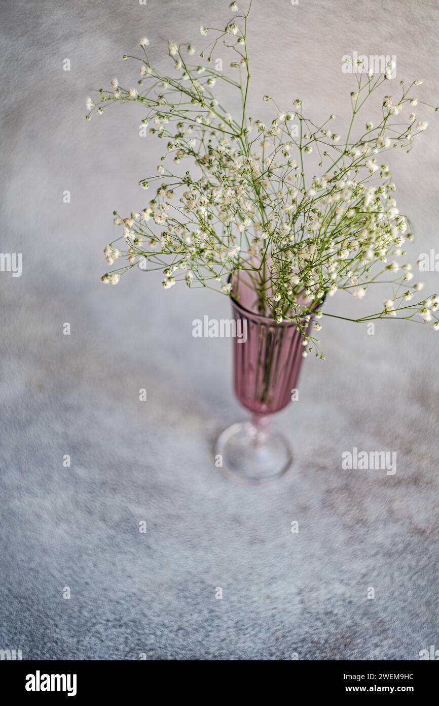 Pink glass vase with white gypsophila flowers Stock Photo
