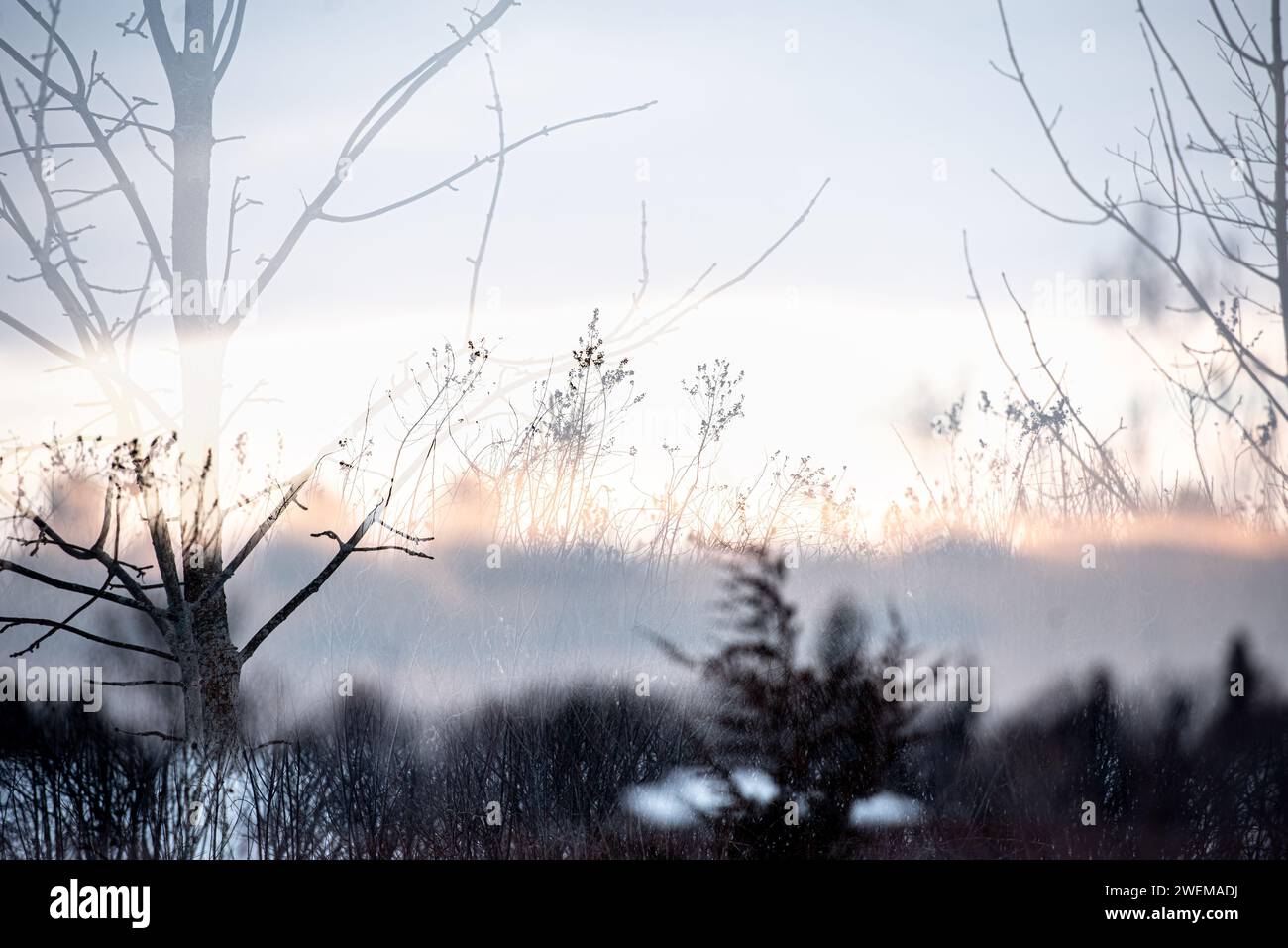 In Camera Double Exposure of at Sunset in winter Stock Photo