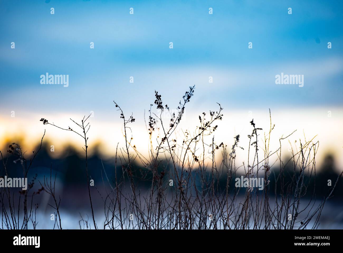 Blue Hour Sunset in Winter Stock Photo