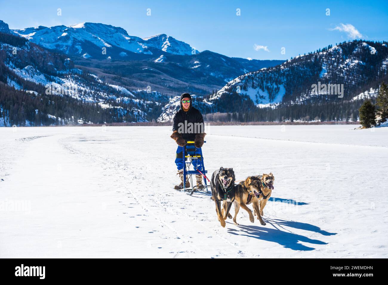 Dog Sledding on a Frozen Lake in the San Juan Mountains of Colorado Stock Photo