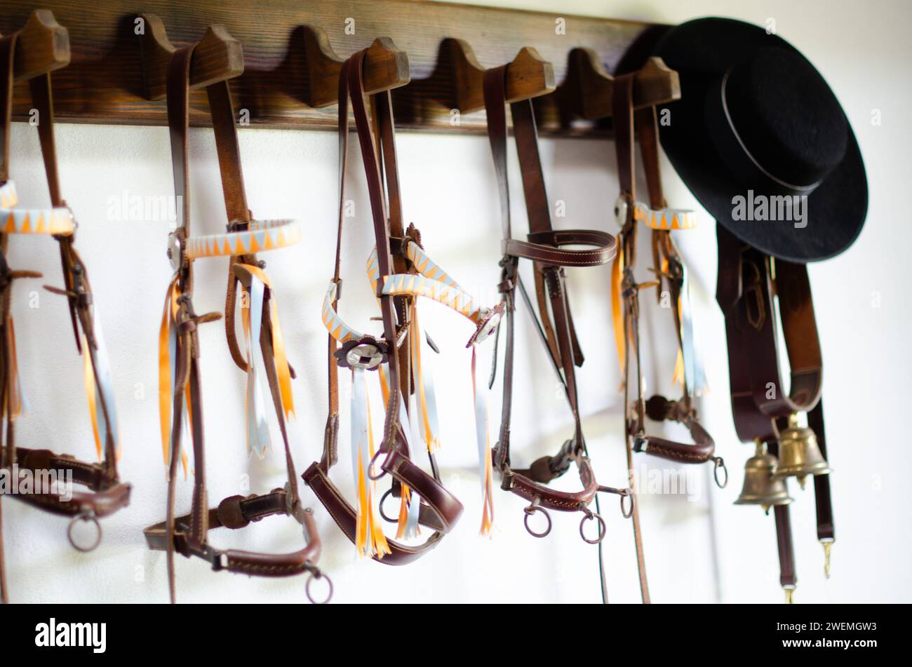 Hanging Leather Equestrian Horse Reins with Black Riding Hat Stock