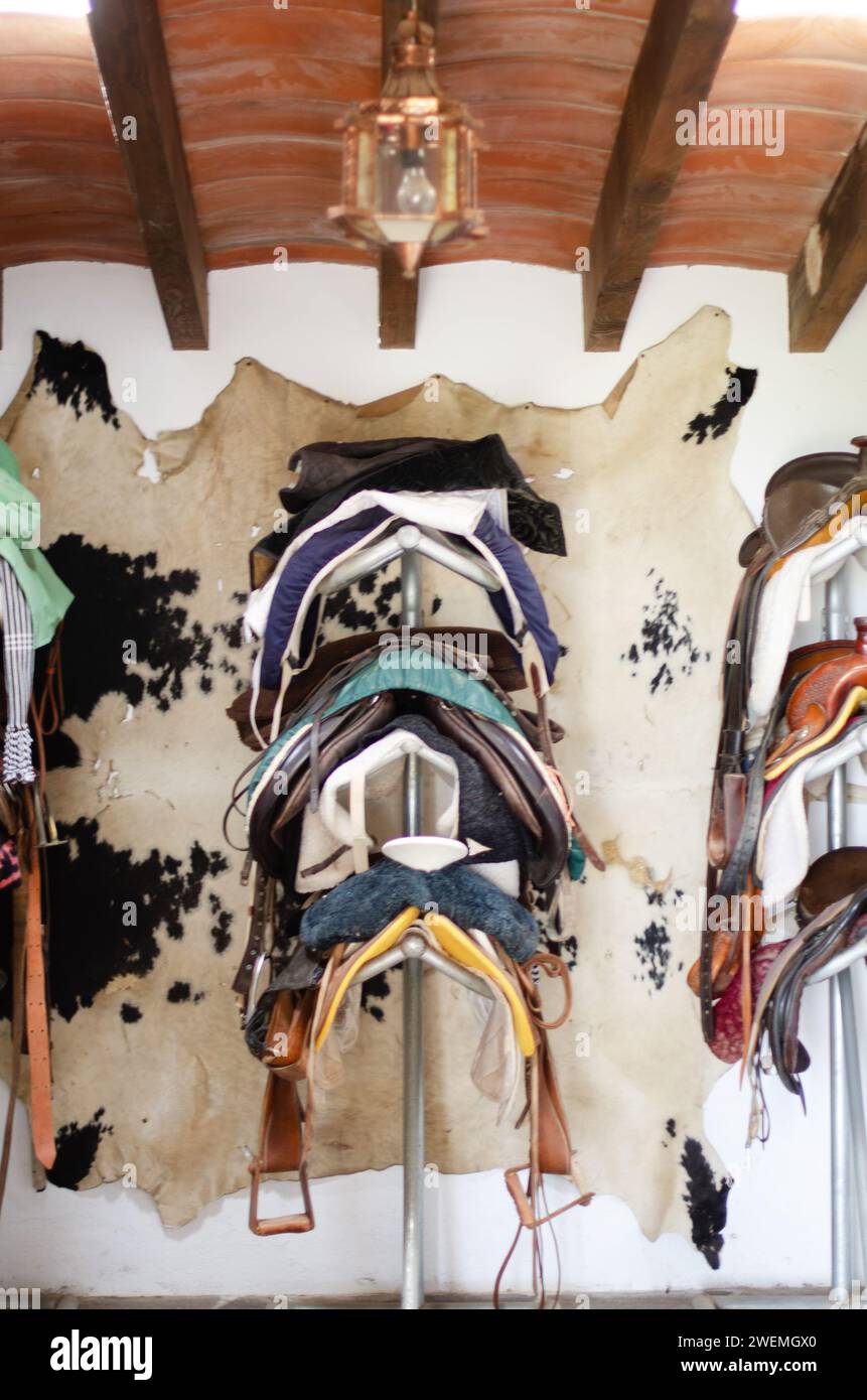 Room with multicolor saddles and cowhide hanging on wall Stock Photo