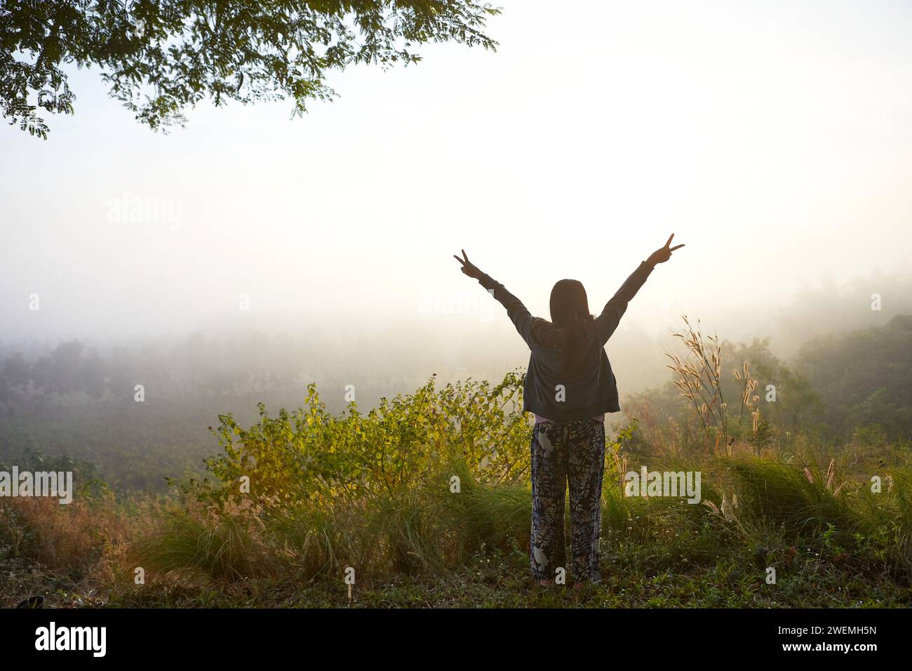 Rear view of woman standing in forest during misty morning Stock Photo ...
