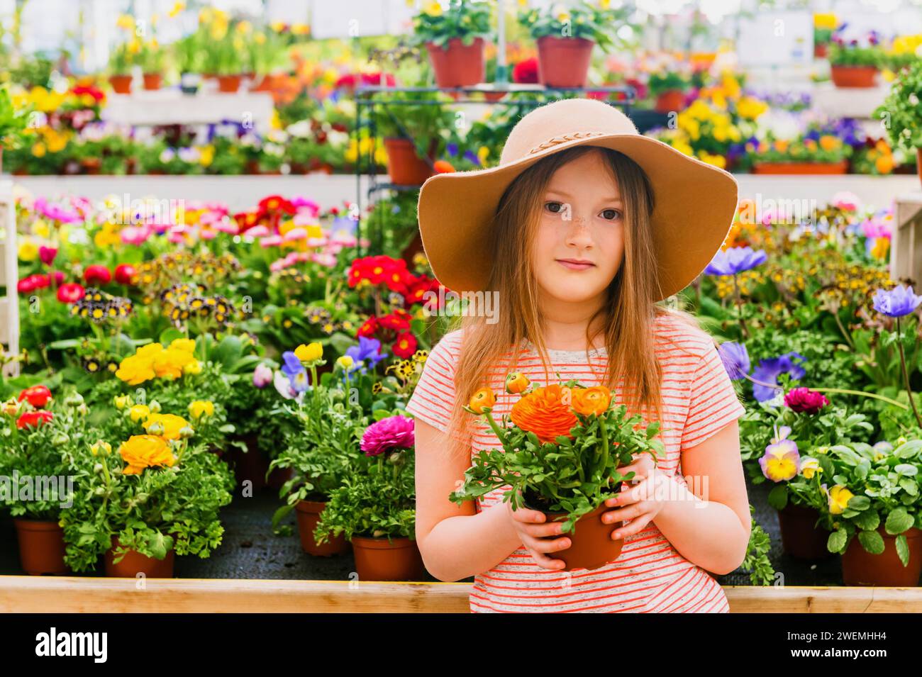 Adorable little girl choosing flowers in garden center Stock Photo Alamy