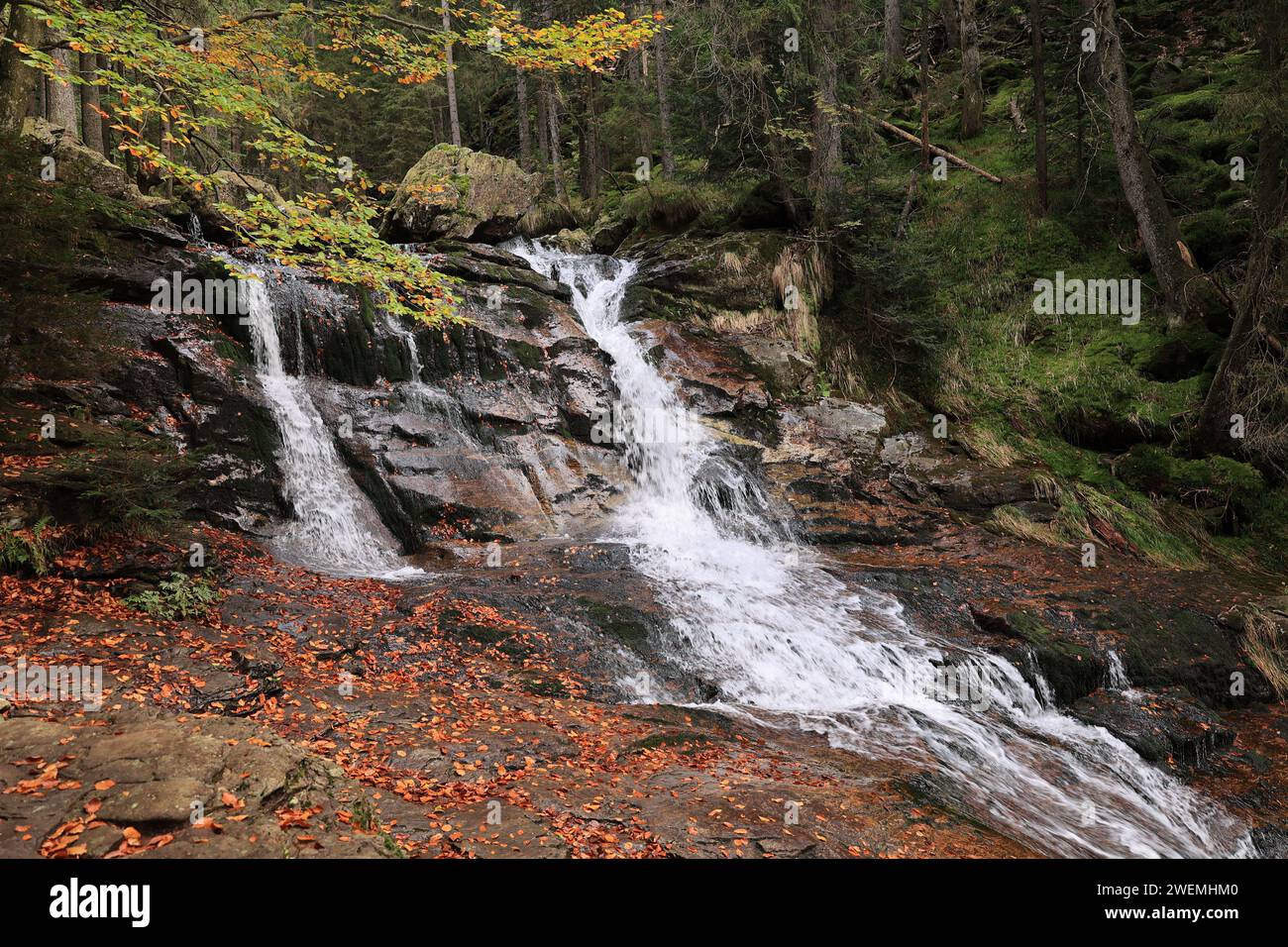 Impressionen aus dem Bayerischen Wald im Herbst Stock Photo - Alamy