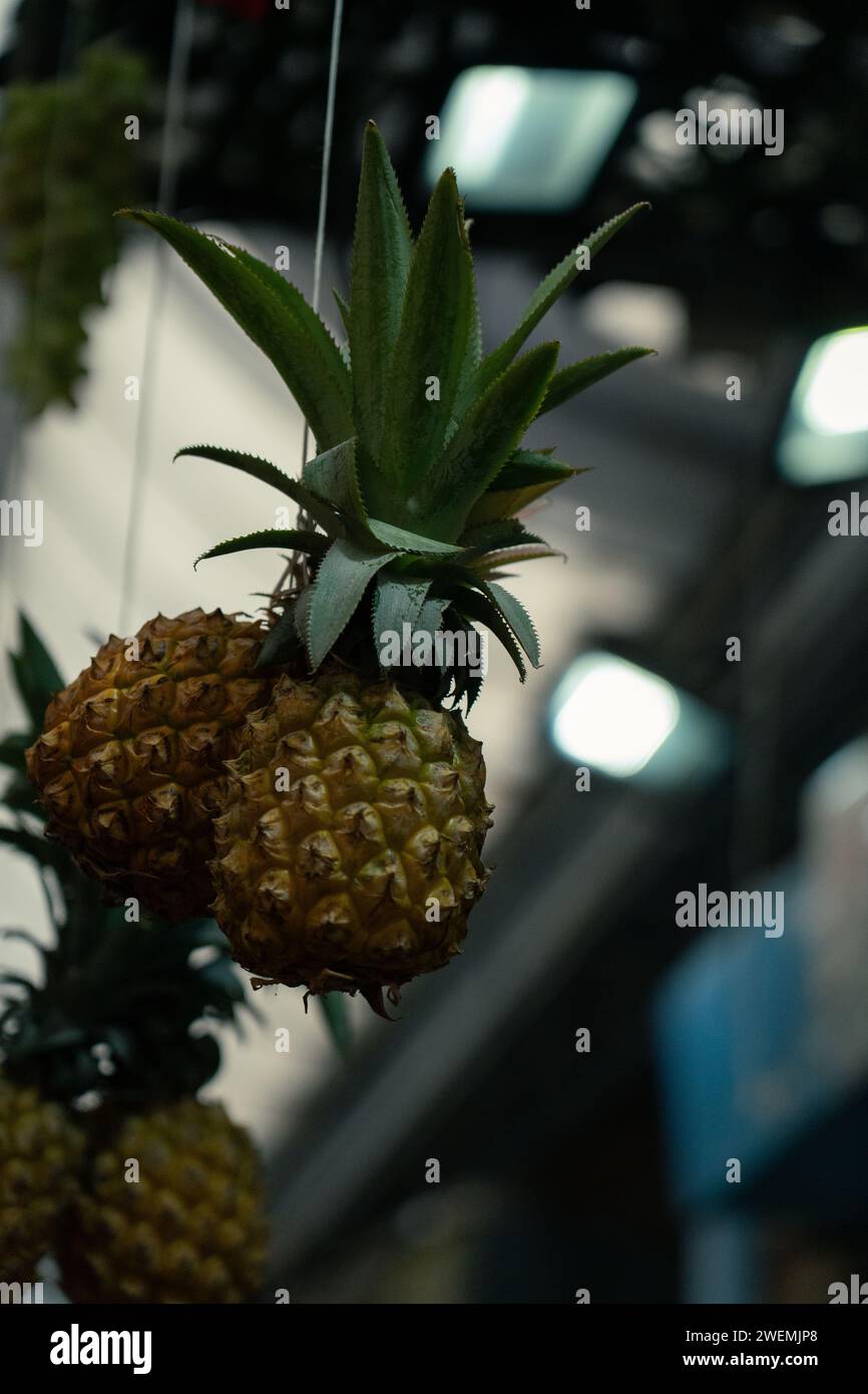 Small pineapples for sale Stock Photo