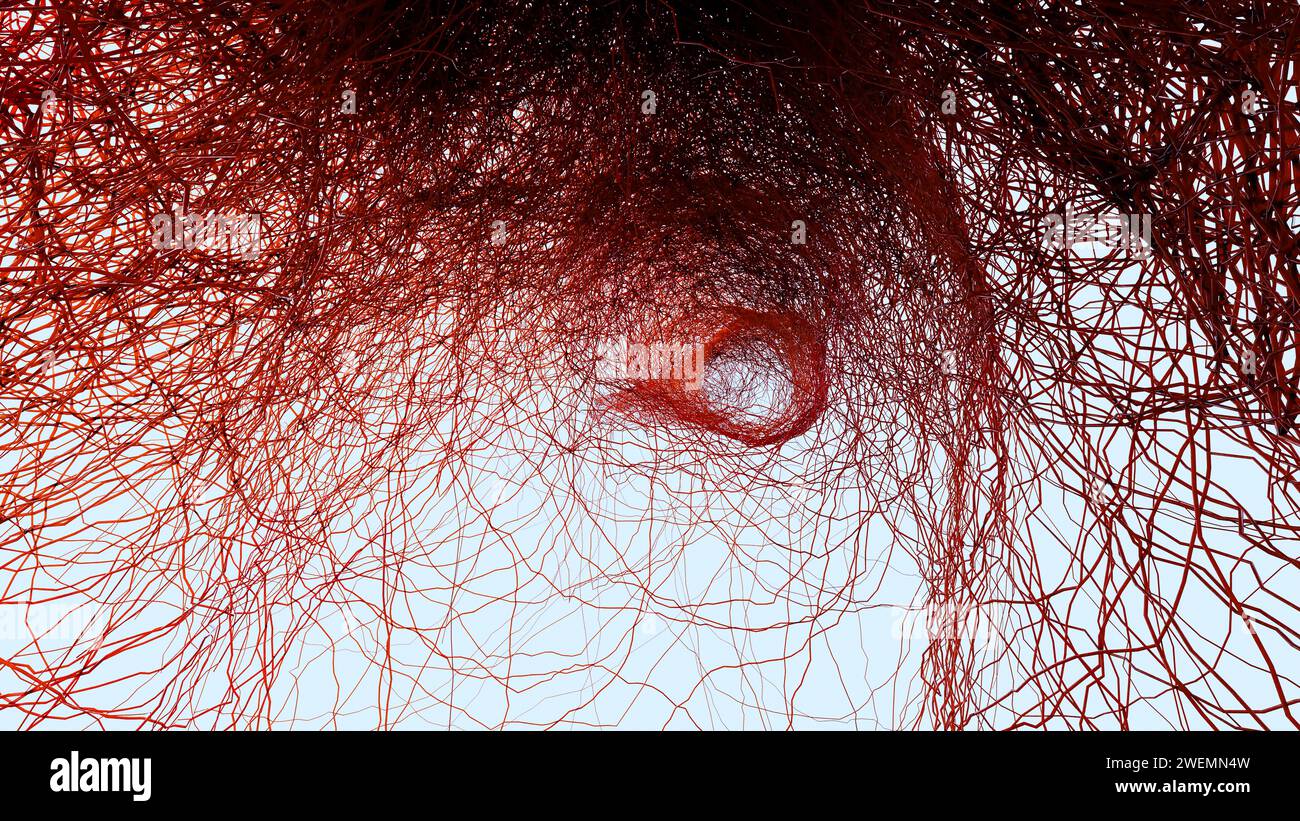 Human arterial and venous circulatory system, Medically accurate animation of Vains and arteries growth, blood vessels, Red capillaries network, 3d re Stock Photo