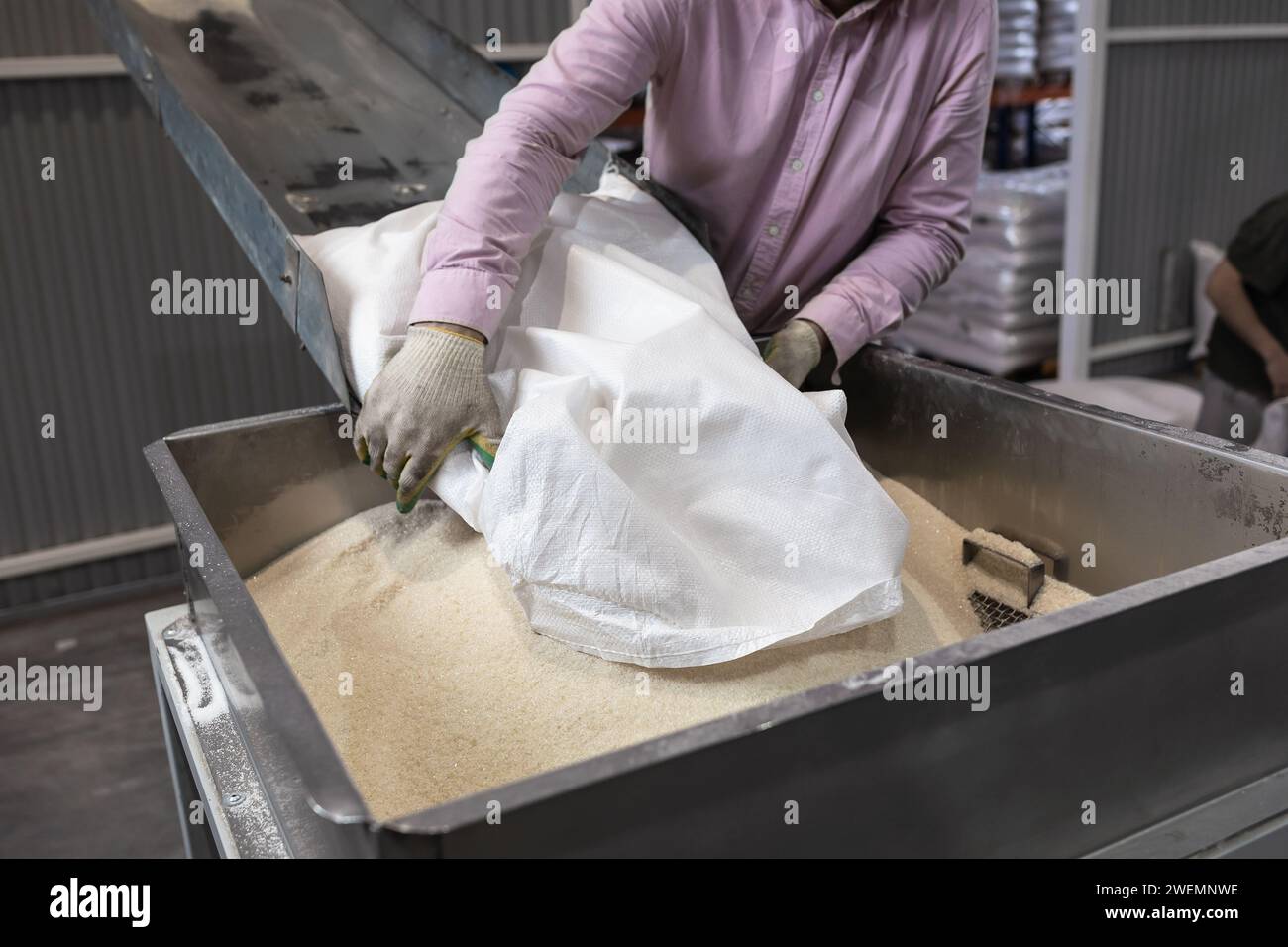 A worker pours a bag of sugar onto a conveyor line for further processing Stock Photo